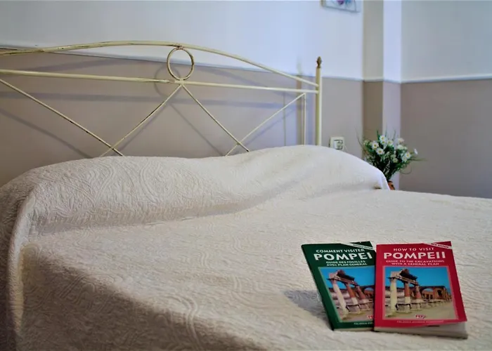 Vesuview Near The Ruins 3* Pompéi