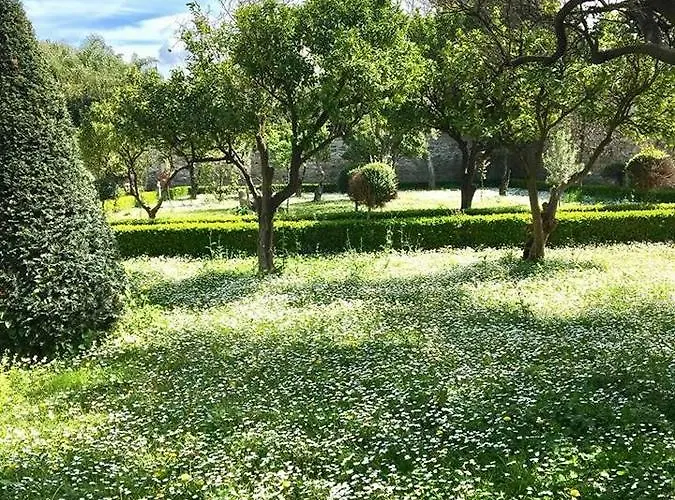 Vesuview Near The Ruins Pompéi