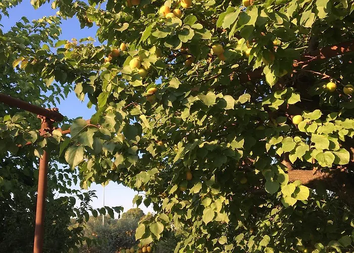 Vesuview Near The Ruins Affittacamere Pompei